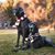 Remi-Augie Lucero's profile image