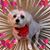 Leo Harris's profile image