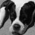 Caren Hagan-Hinton's profile image