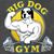 Iris Dokme Myew Holloway's profile image