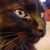 Jennipher Barbee's profile image