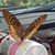 Kerrie Collins's profile image