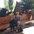 Kathy Desposito's profile image