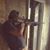 Ramesh Jacob's profile image