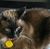 Buff Katze's profile image