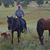 Dave Groat's profile image