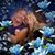 Frank R. LaFeir's profile image