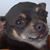 Rosa A Segovia's profile image