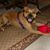 Jerry L. Brooks's profile image