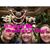 Lori Weglarek's profile image