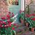 Svetlana Afanasiev Guiffre's profile image