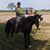 Mat Burchett's profile image