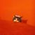 Gage Bickmore's profile image
