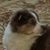 Vickie McCoy's profile image