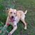 Sylvia Johnson Bullman's profile image