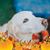 Eva Gellert's profile image
