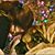 Linda West Elward's profile image