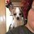 Nicole Schmidt's profile image