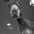 Stephanie Lovit's profile image
