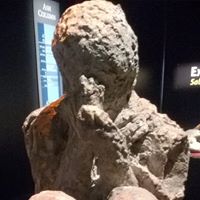Joseph Fox's profile image