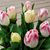 Linda L. Hill's profile image