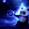 yazmin p.'s profile image