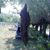 Hamou Bekhat's profile image
