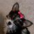 Susan Manning's profile image