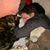 Brandon Michael Lewis's profile image