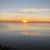 Cindi Shelton's profile image
