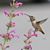 Annette Talbott's profile image