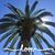 Marla Nagle Ingram's profile image