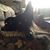 Mary Ellen Green Rhinehart's profile image