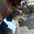 Edie Golden's profile image