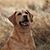 Gayle Gintner's profile image