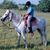 Syed Ali's profile image