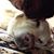 Ashwini Vittala's profile image