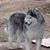 Donna Mercure's profile image
