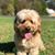 Trista Rose's profile image