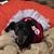 Tammy Shadden's profile image