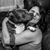 Regina Nickerson's profile image