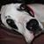 Leanne Zeck's profile image