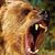 Mike Clemens's profile image