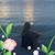 Denelle Dianne Perry's profile image