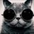 John Pullins's profile image