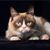 Christy Cross's profile image