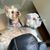 Julie Moody Visin's profile image