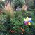 Arlene Boehringer's profile image