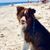 Anna-Marie Marinelli's profile image