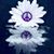 Tracy Taylor Prince's profile image